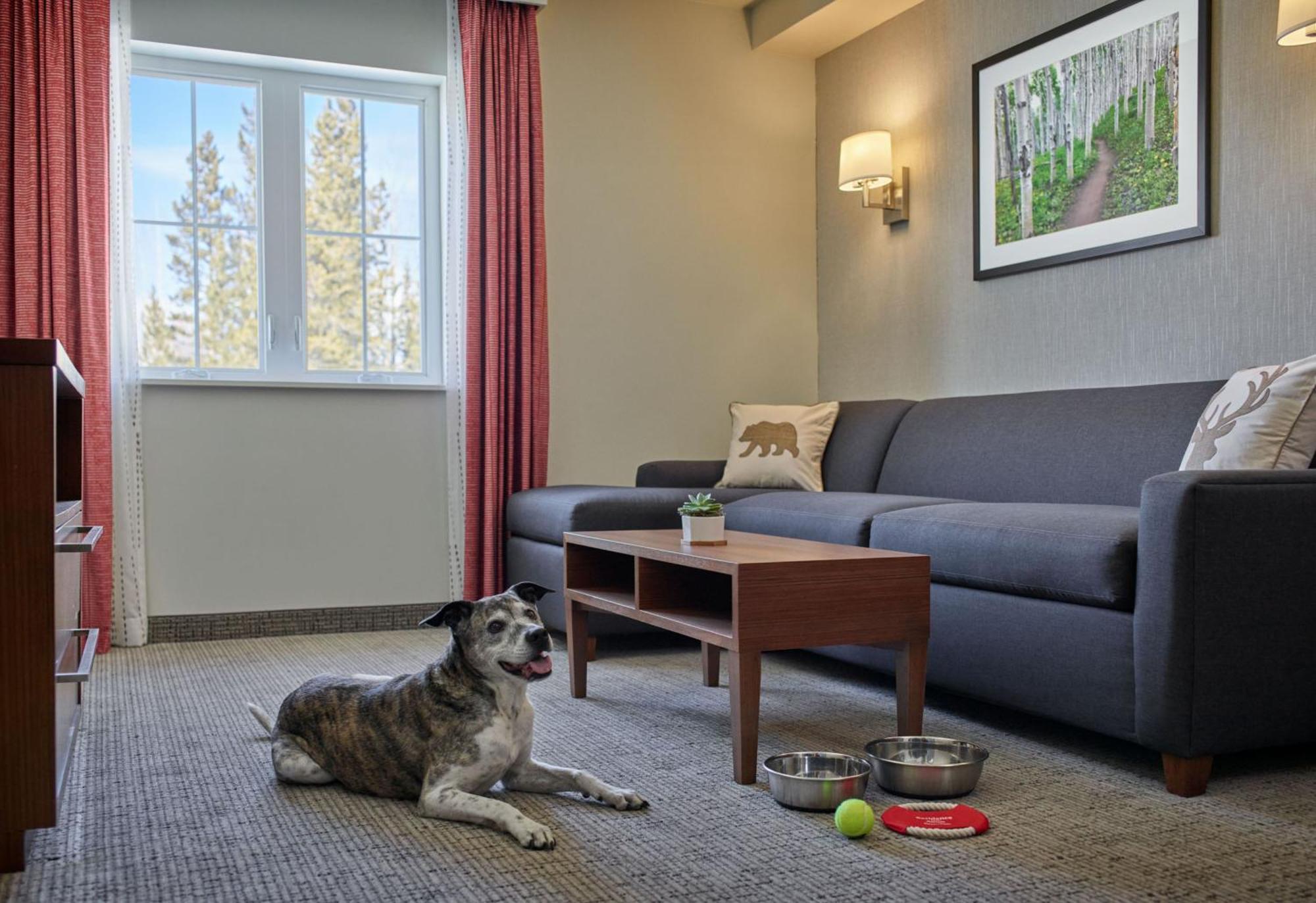Residence Inn By Marriott Breckenridge Buitenkant foto